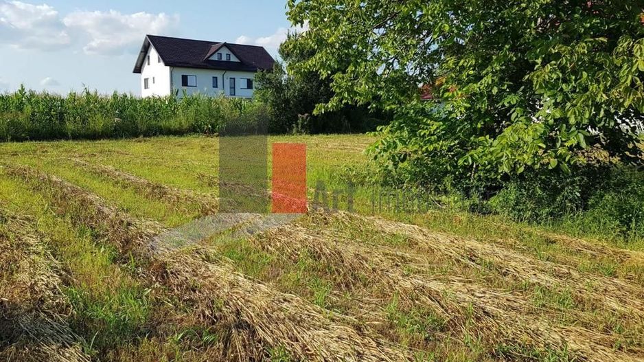 Teren Adunații Copăceni - Poză 6