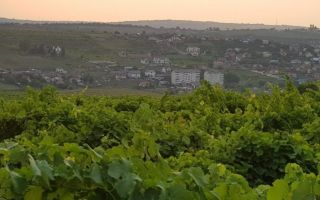 Teren intravilan 1.600 mp, Vișan, str. Al. Macedonski – ideal dezvoltare duplexuri/bloc - Poză 2