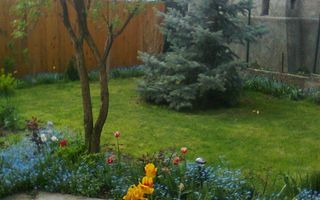 Apartament de Vânzare în Vilă - Poză 2