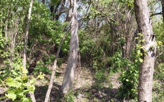 Teren intravilan 3.250 mp în Filești – Ideal pentru casă sau investiție! - Poză 21