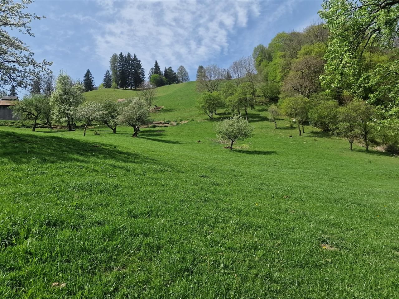 Langa emblematicul Castelul Bran, in areal colinar, 5.700mp intravilan - Poză 17