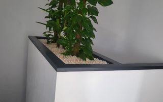 Vila Individuala langa Padure | Balotesti | Lux | Piscina - Poză 14