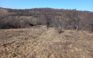 Două case de vânzare – Cerisor – teren generos 6996 mp - Poză 15