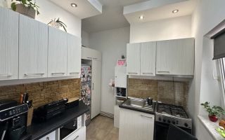 Apartament 2 camere + demisol zona Fabric - Poză 2