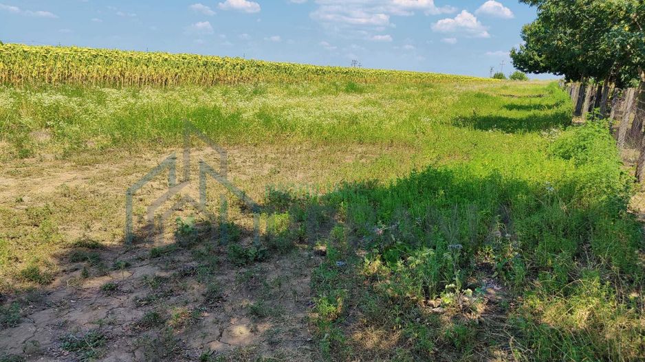 Teren intravilan de 1300 mp în sat Popricani, comuna Popricani, județul Iași - Poză 2