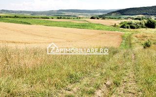 Teren 9.600 mp.17 euro mp deschidere la drum 200 m. - Poză 7