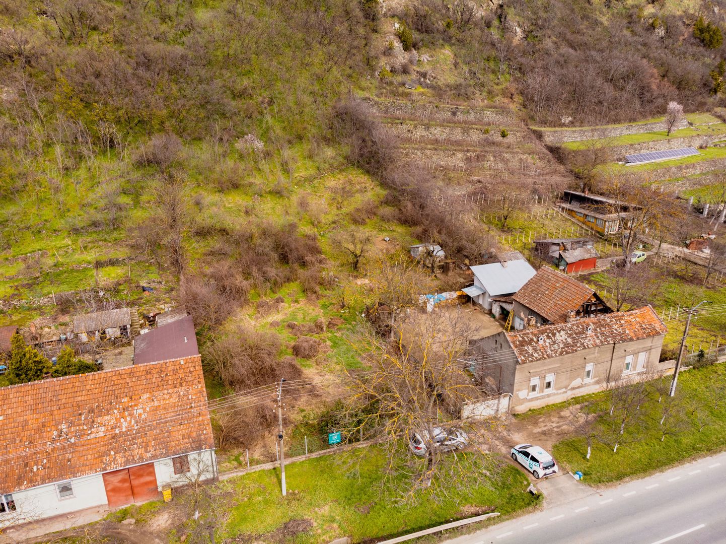 Teren Intravilan Pauliș - Poză 9