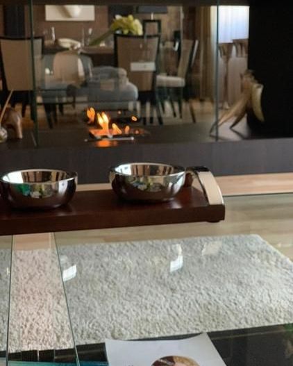 Triplex vedere panoramica | Terasa 80 mp | Herastrau - Poză 7