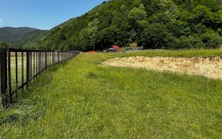 Teren intravilan - 1117 mp în Plaiul Foii - Poză 11