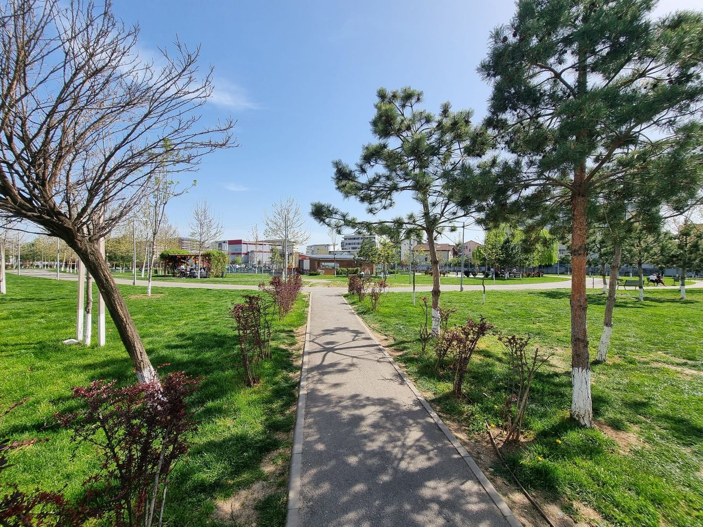 2 Camere Avangarde Rezidential Dudu Chiajna - Poză 11