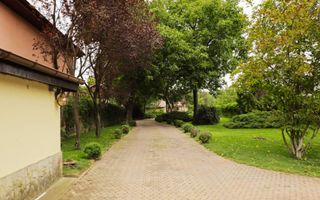 Vila de lux Buftea de inchiriat | 520 mp | teren 2491 mp - Poză 7