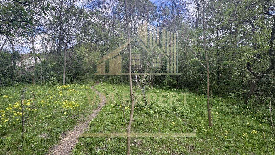 TEREN INTRAVILAN 7018 MP CAMPULUNG - Poză 23