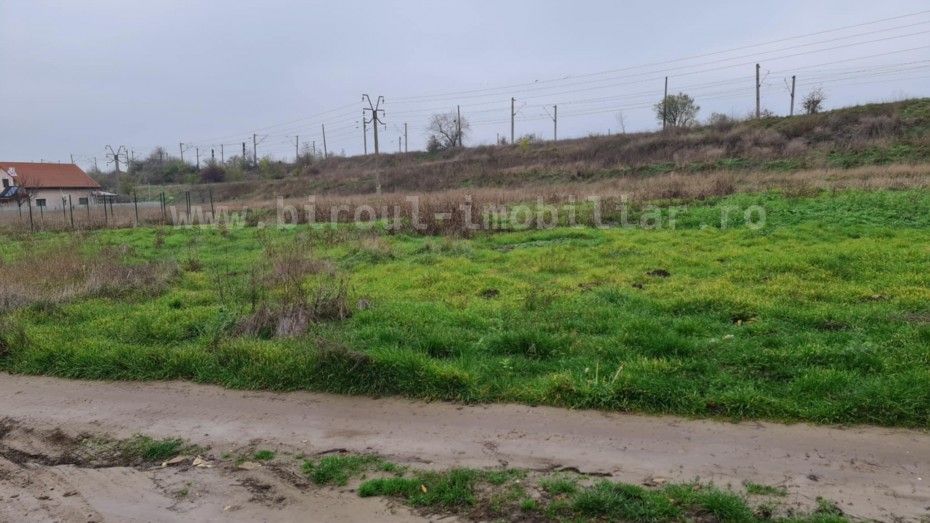 Teren Intravilan 5.000 mp – Perfect pentru Parc Fotovoltaic, Hale sau Lotizare - Poză 4