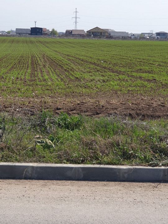 Teren in Dobroesti, Ilfov, Bulevardul Nordului, investitie. - Poză 9