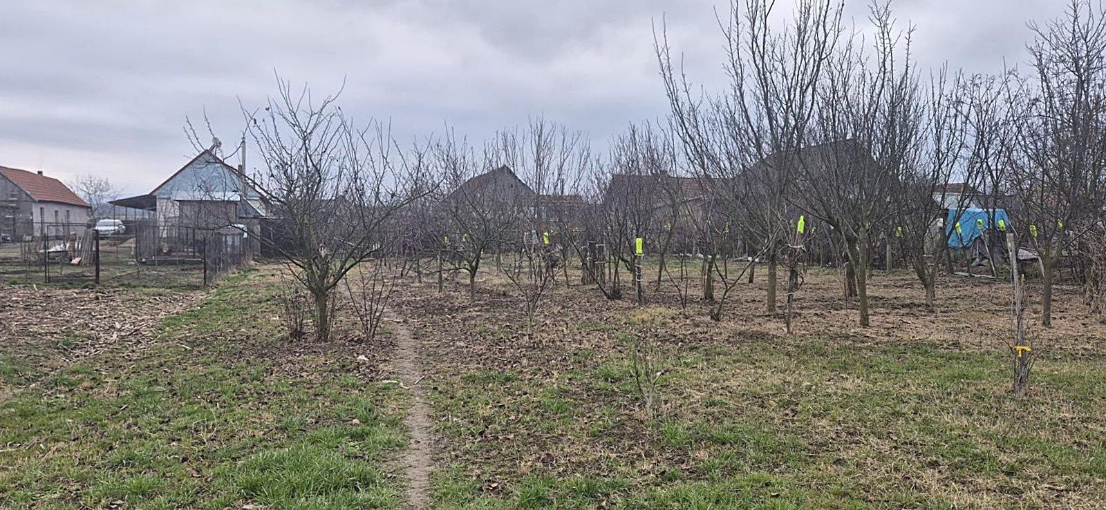 Casa cu teren 4000 mp in Bogei, Bihor - Poză 8