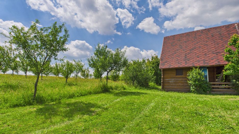 Teren cu baltă- oportunități multiple la Fibiș - Poză 44