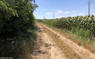 Moara Vlasiei - langa Padurea Biglaru, 11.884 mp, deschidere 40 ml - Poză 11