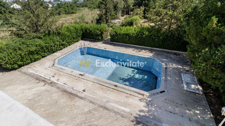 Domeniu privat 5.000 mp, cu reședință de 625 mp și piscină, Corbeanca - Poză 38