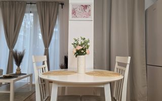 Inchiriere Studio Baneasa Bucuresti sector 1  curte privata, Aeroprort - Poză 14