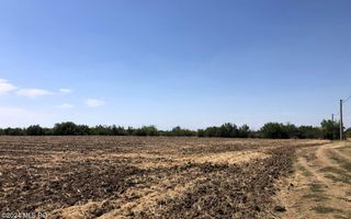 Moara Vlasiei - langa Padurea Biglaru, 11.884 mp, deschidere 40 ml - Poză 4