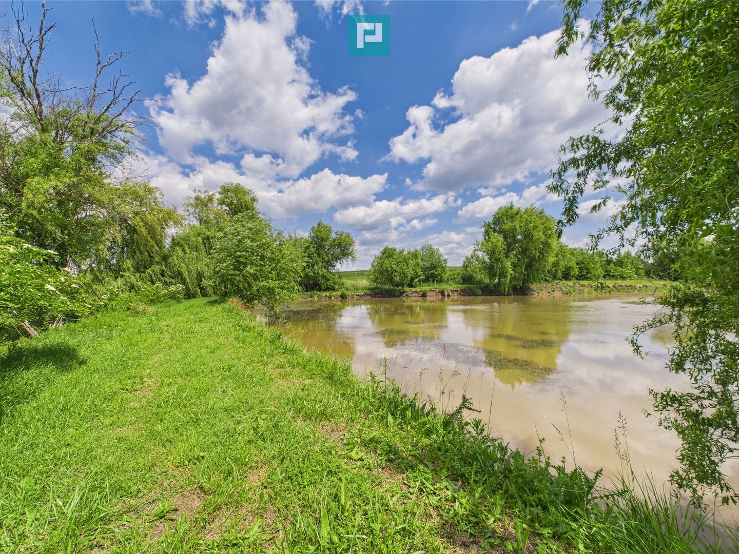 Teren cu baltă- oportunități multiple la Fibiș - Poză 22