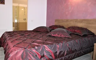Imobil deosebit, curte spatioasa, centrala proprie, loc de parcare! - Poză 12