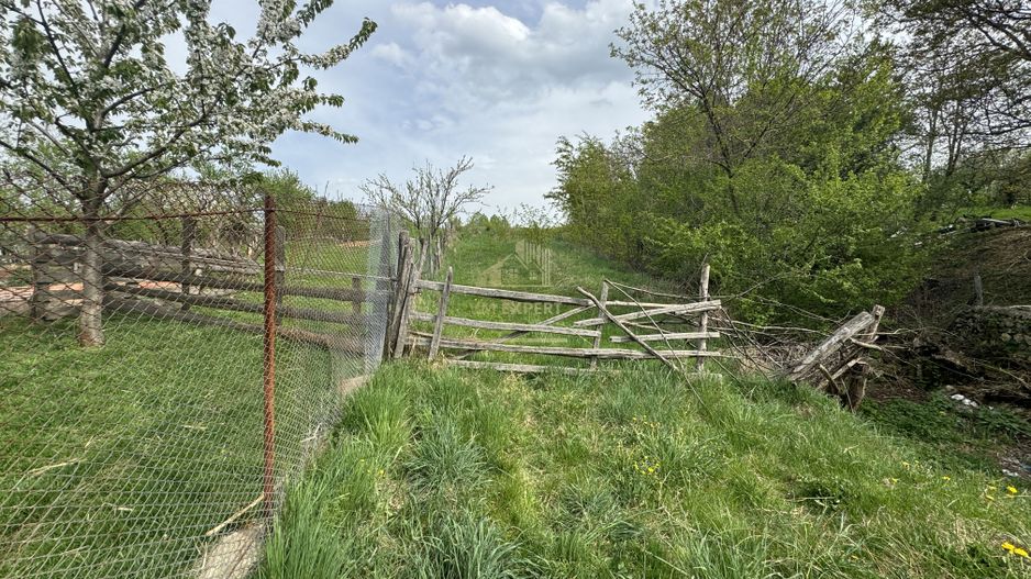 TEREN INTRAVILAN, 7472 MP, VALEA MARE PRAVAT, ARGES - Poză 13