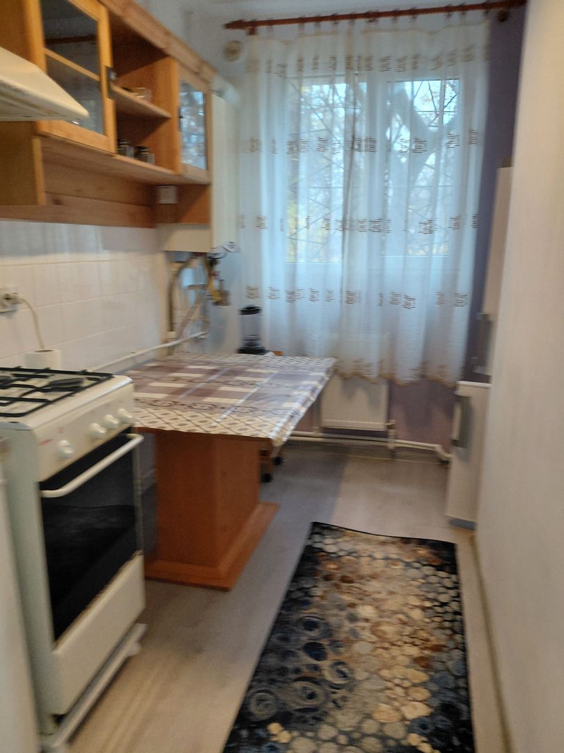 De inch iriat apartament 2 cam dec – Zona Baia Comunală, parter - Poză 10