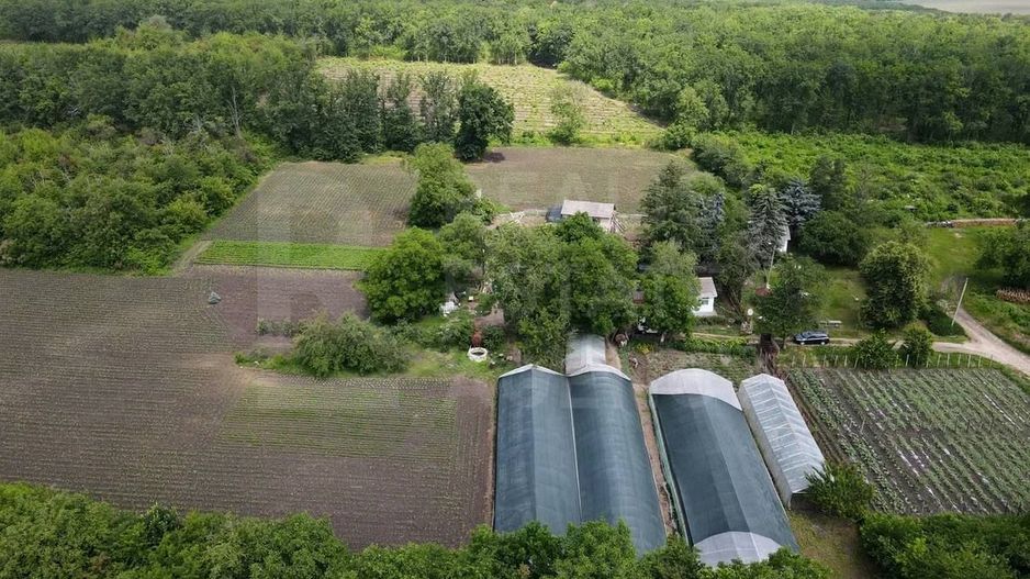 Vânzare, teren, 1.74 ha, satul Bilicenii Noi, raionul Sîngerei - Poză 2