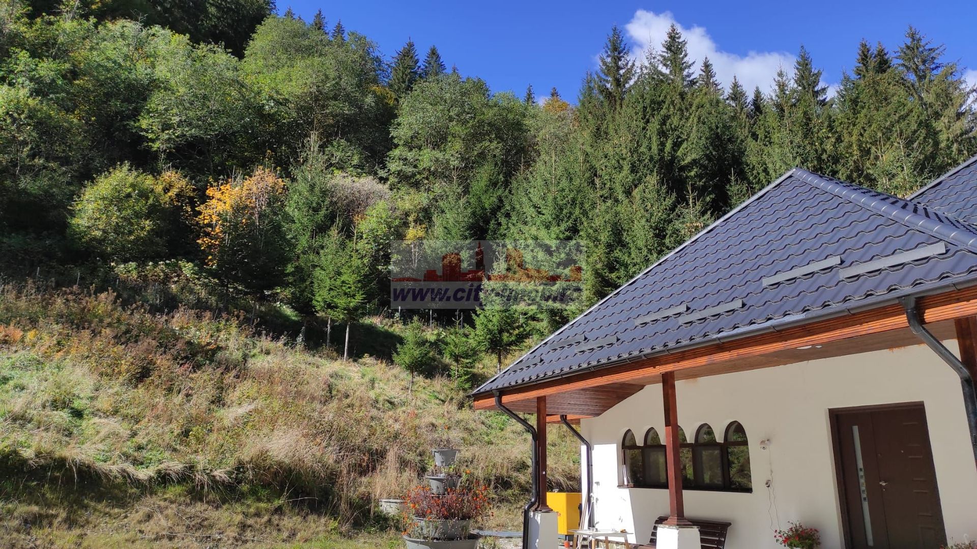 Vanzare Pensiune , Casa ,  Rezervatia Piatra Craiului / Satic, Arges - Poză 2