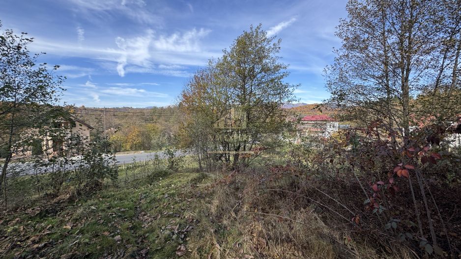 TEREN INTRAVILAN 13167 MP BUGHEA DE SUS ARGES - Poză 7