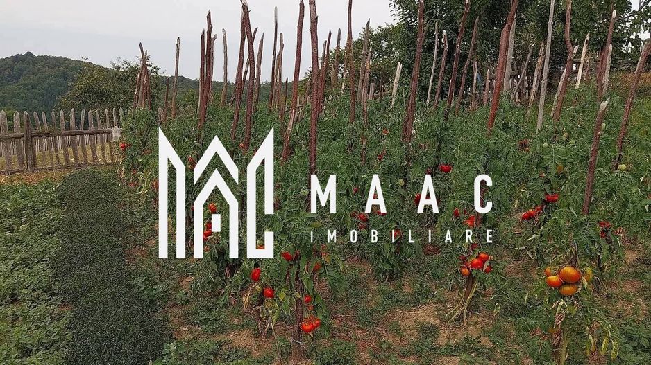 Proprietate cu 60000 mp pamant la pret de apartament - Poză 32