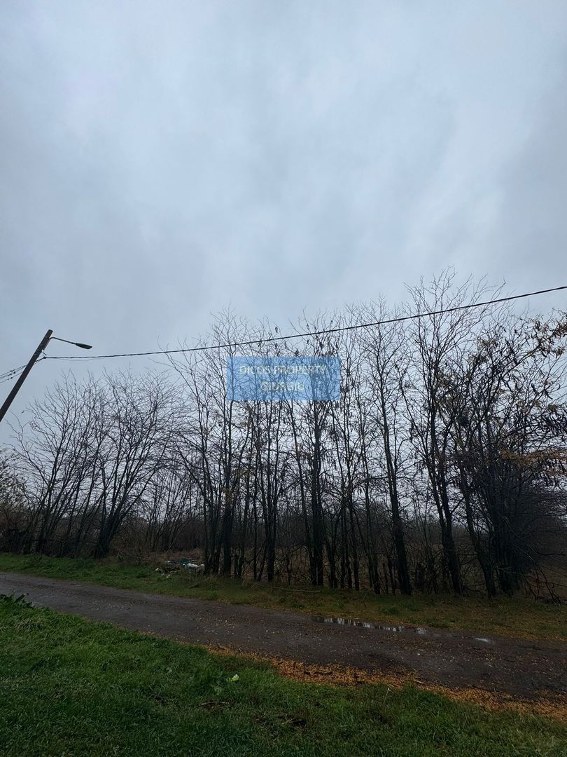 Teren intravilan Drumul Fermei - Poză 4