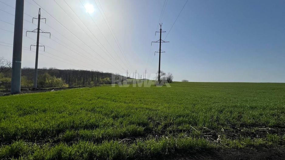 Teren 41,49 ari Ghidighici | deschidere 122 m | agricol | investiție - Poză 12