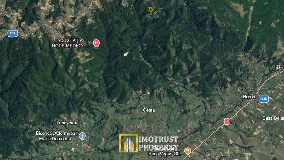 Pădure și pășune de vânzare 8,2037 ha Borod, Bihor - Poză 3