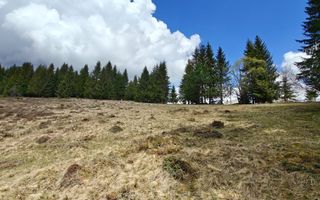 Teren intravilan, 3040 mp, Dealu Botii, com Belis, Comision 0 - Poză 1