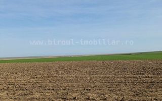 Vânzare teren agricol comasat direct la Soseaua  Istria - Sinoe - Poză 5