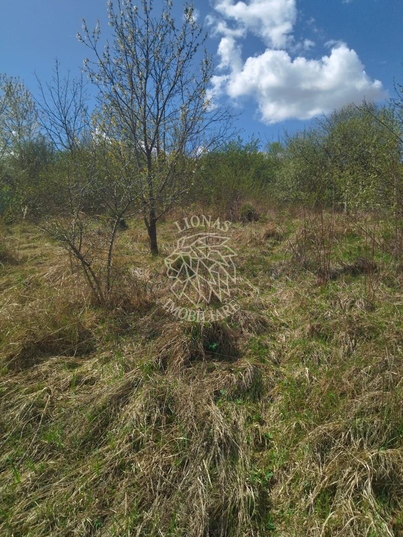 Casa P+M 3 camere 110 mp-teren 1400 mp-Zona Valea Jelnei - Poză 14