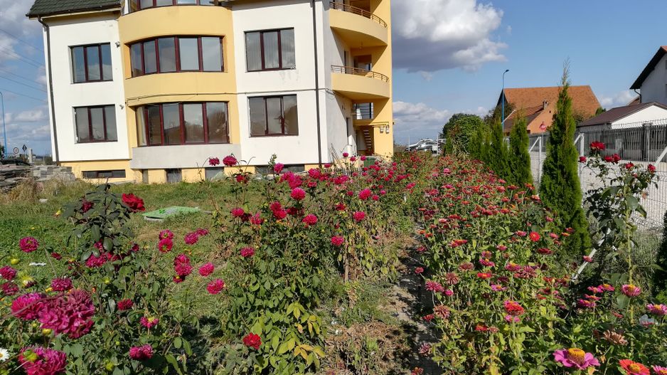 inchirieri Apartamente in casa 2 camere - Poză 1