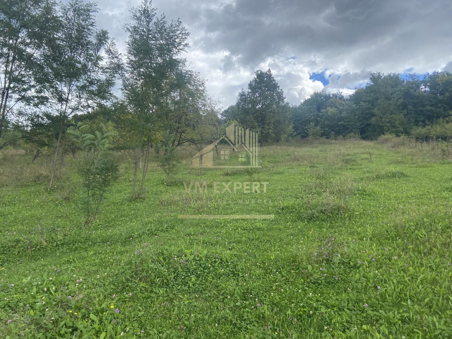 TEREN 1617 MP CAMPULUNG-MUSCEL - Poză 1