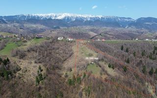 Teren Drumul Carului, Moieciu Suprafață: 29.595 mp | Intravilan - Poză 1