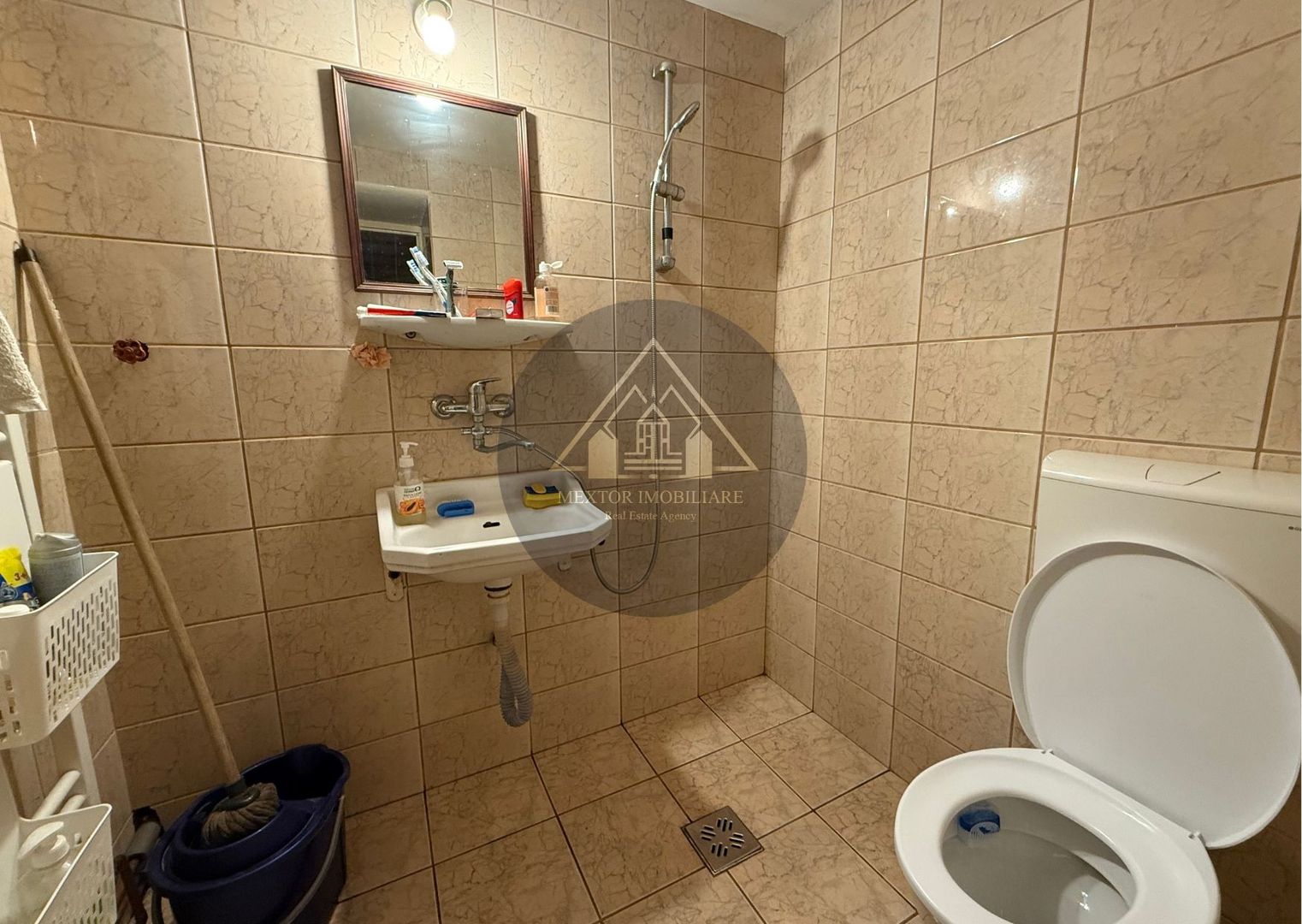 Casa mare în Ațel - Poză 33