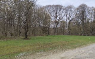 Teren Intravilan |2000Mp| Valea Avrigului - Poză 5