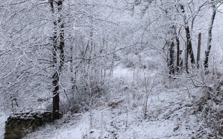Teren cu izvor de apă minerală  Dangești, Punctul Valea Mare - Poză 25