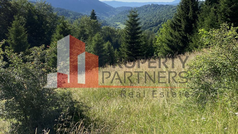 Teren 14400 mp la iesire din Rasnov inspre Pârâul Rece-Trei Brazi - Poză 2