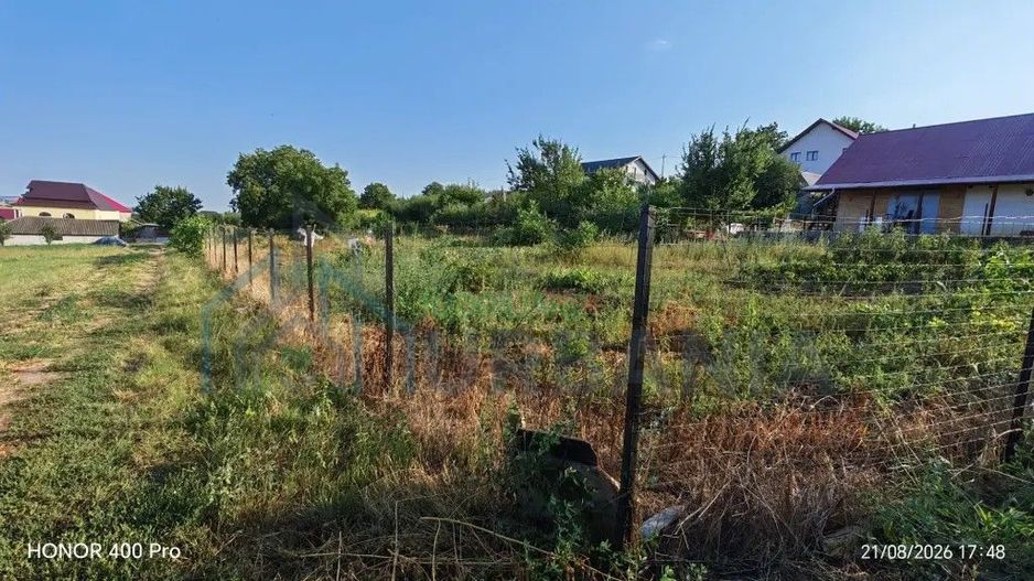 Teren de vânzare în Dealul Viilor, Hârlău – 2.100 mp, gard și pomi fructiferi - Poză 3