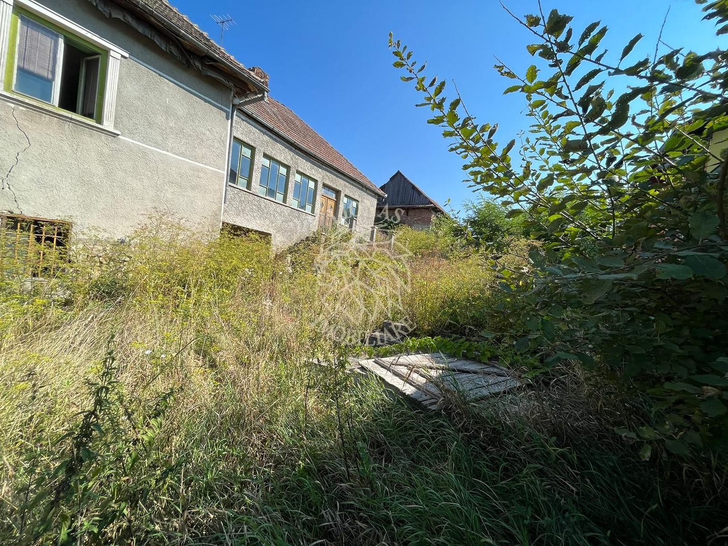 Teren intravilan 1800 mp cu constructie casa-Chinteni - Poză 3