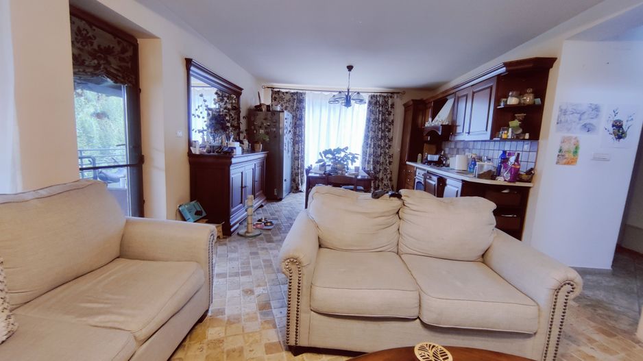 CASA  INDIVIDUALA SACALAZ 135 MP CU 476 MP TEREN - Poză 2