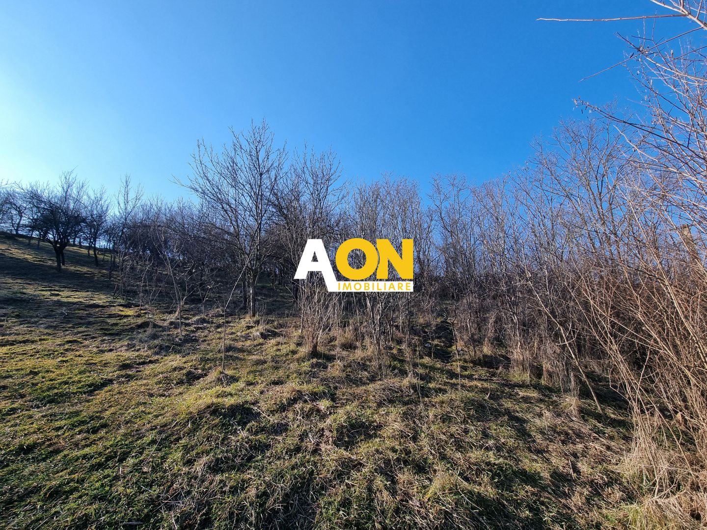 De vanzare 943 mp teren intravilan, cu utilitati, Oarda de Sus - Poză 2