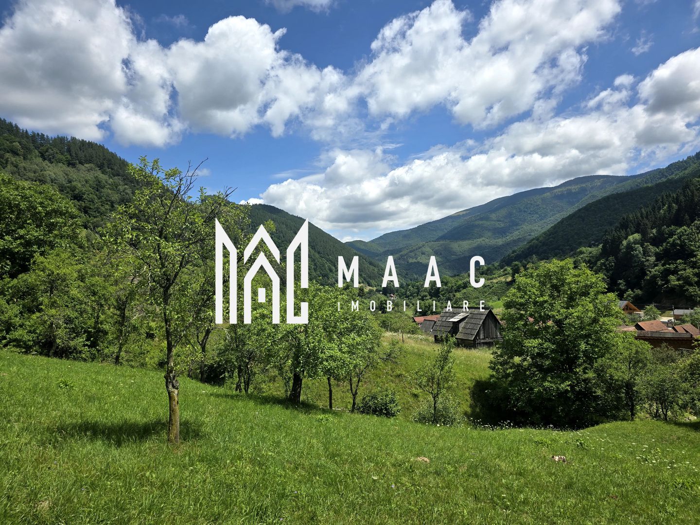 Teren | 2946MP | Priveliște Panoramică | Râu Sadului - Poză 2